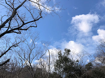 晴天の朝_e0103024_09220601.jpg