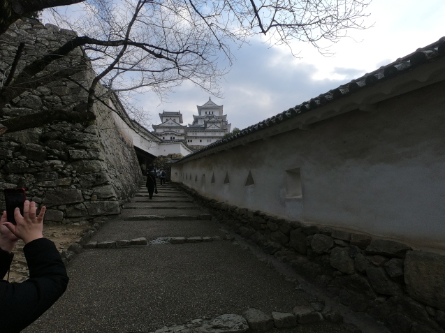兵庫県 umenai_c0155239_16233406.jpg