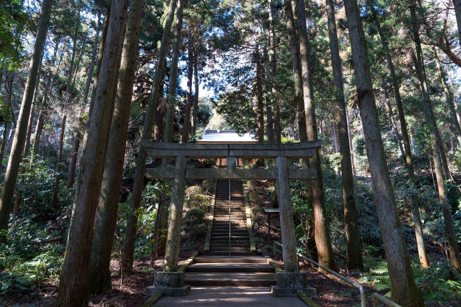 【史跡|朝夷奈(朝比奈)切通】 歩き方の詳細解説 (神奈川県 横浜市・鎌倉市)_b0212342_12312495.jpg