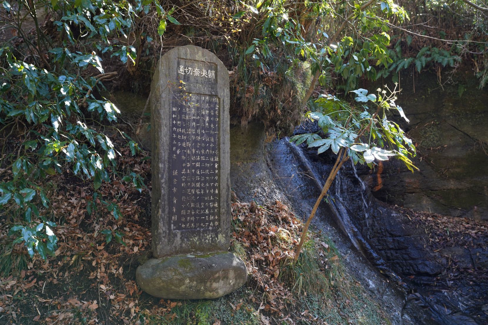 【史跡|朝夷奈(朝比奈)切通】 歩き方の詳細解説 (神奈川県 横浜市・鎌倉市)_b0212342_12344062.jpg