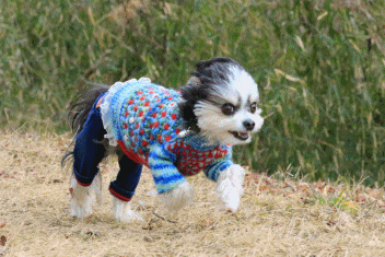 山run で はじめてのハプニング Funky S Blue Sky 山run で はじめてのハプニング Funky S Blue Sky