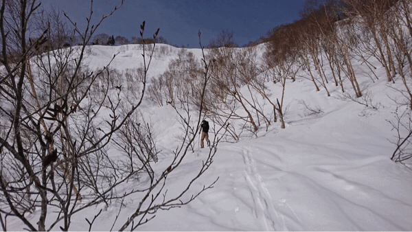 白馬乗鞍　山スキー_c0192058_12200281.gif