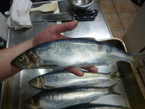 　食わず嫌い・・・_e0252966_13301860.jpg