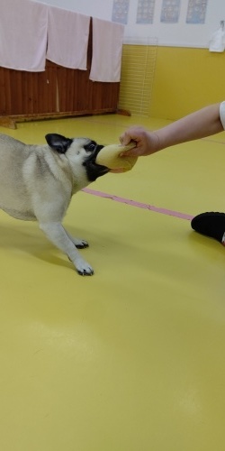 寒さなんて関係なし❗️_f0357682_11492372.jpg