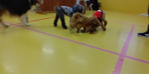 寒さなんて関係なし❗️_f0357682_11584867.jpg