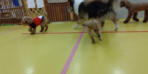 寒さなんて関係なし❗️_f0357682_12001707.jpg