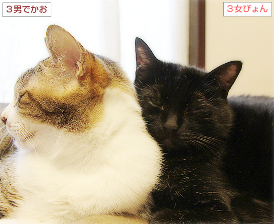 アツアツ_a0389088_18524911.jpg