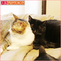 アツアツ_a0389088_18524966.jpg