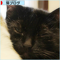 アツアツ_a0389088_18525082.jpg