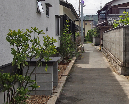 近江高島の家(2019)_b0014003_12242517.jpg