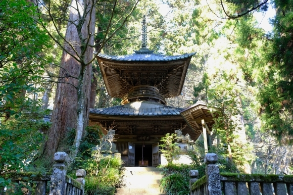 最乗寺と明神が岳_e0000910_10185572.jpg