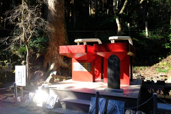 最乗寺と明神が岳_e0000910_10235469.jpg