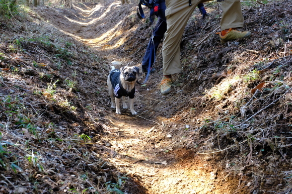 最乗寺と明神が岳_e0000910_10545789.jpg