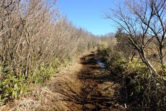 最乗寺と明神が岳_e0000910_11123399.jpg