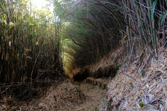 最乗寺と明神が岳_e0000910_11203347.jpg