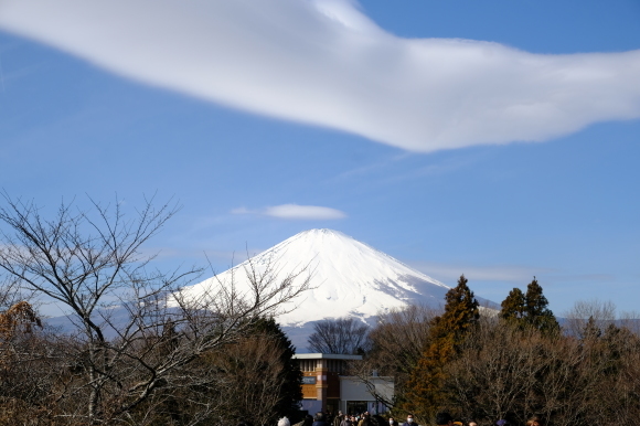 最乗寺と明神が岳_e0000910_11343666.jpg