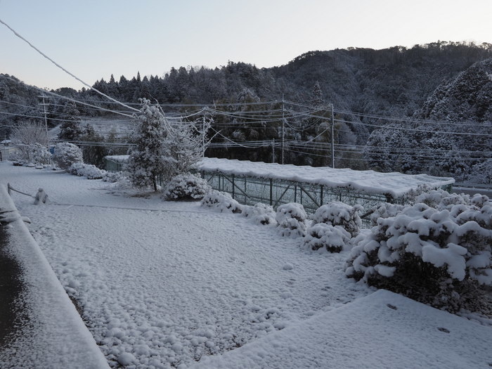 家の周りの雪景色_c0116915_23382526.jpg