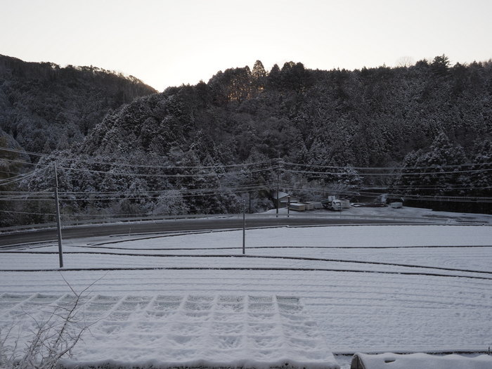 雪景色の田んぼ_c0116915_23420081.jpg