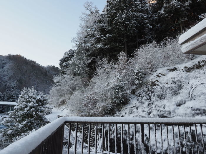 雪景色の田んぼ_c0116915_23422990.jpg