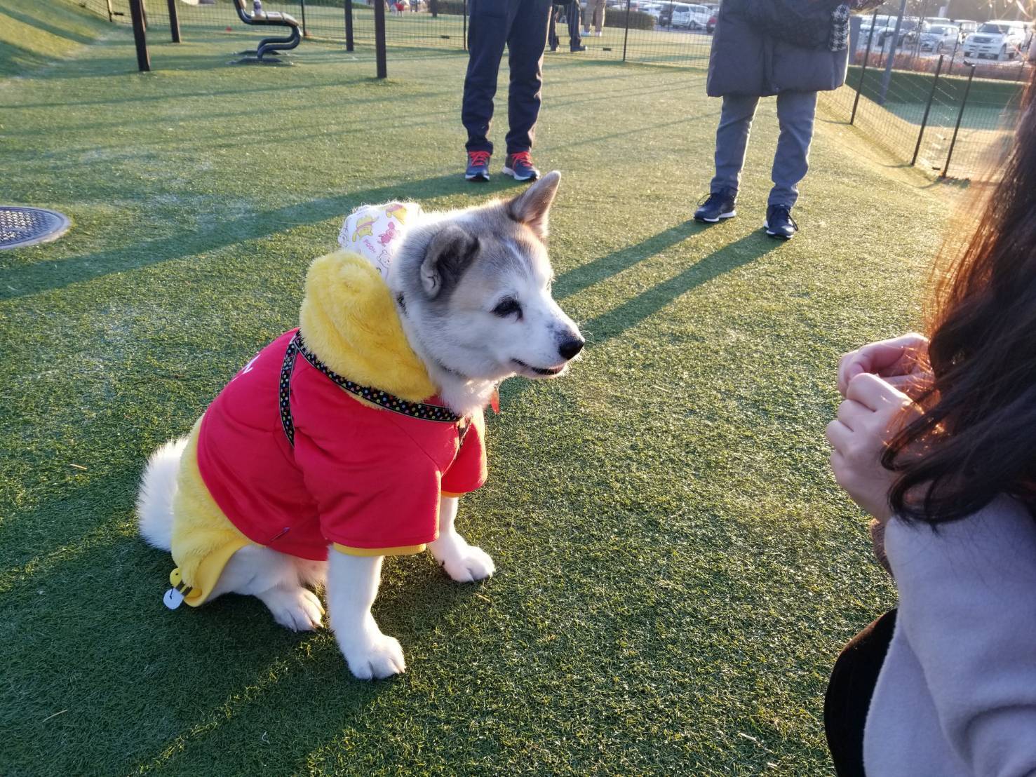 サンちゃん、、、_d0046821_20585235.jpeg