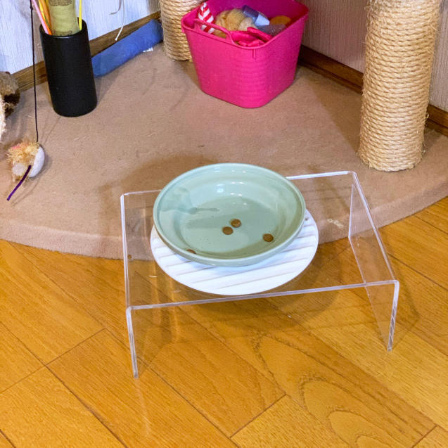 順調に回復傾向!_d0355333_23132129.jpg