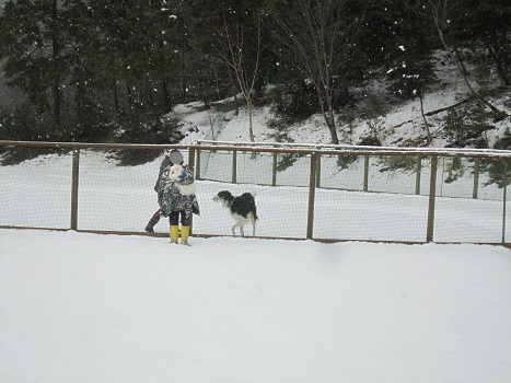 雪のランで走ったよ~♪_b0177436_21133729.jpg