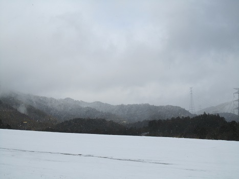 雪のランで走ったよ~♪_b0177436_21170522.jpg