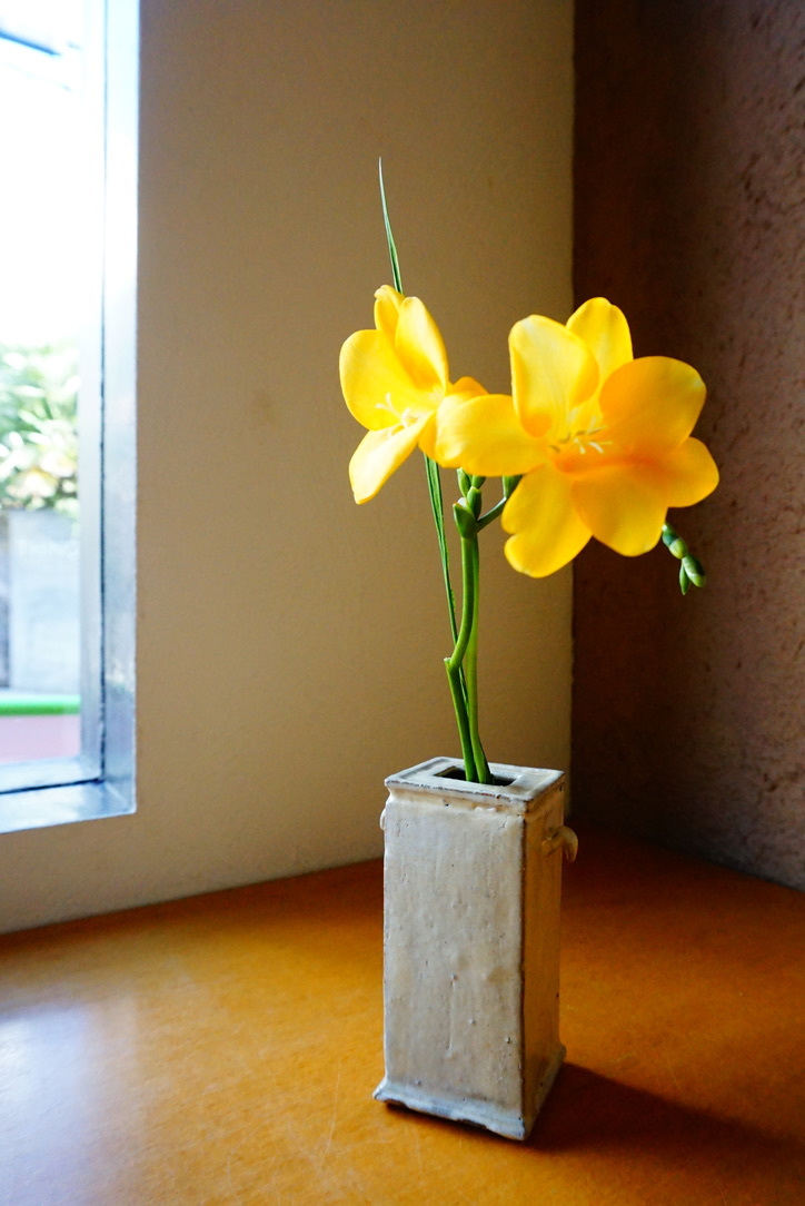 岡晋吾展_b0132442_17033393.jpeg