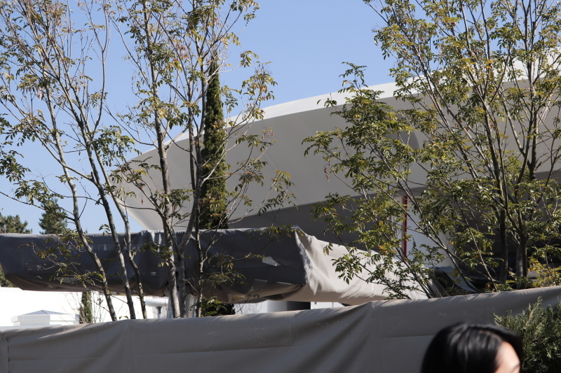 ベイ マックス アトラクション