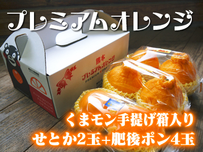 究極の柑橘『せとか』　お待たせしました！本日、令和4年の初出荷！収穫の様子を現地取材！（前編） _a0254656_17503767.jpg