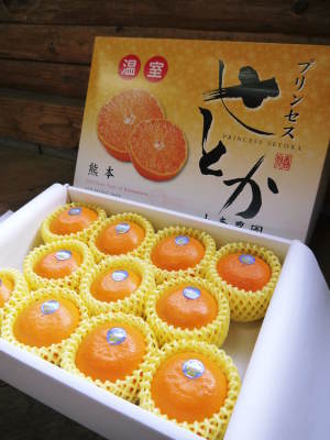 匠が育てた究極の柑橘『せとか』大好評販売中!令和6年の出荷をスタートしました!(前編)_a0254656_19091627.jpg