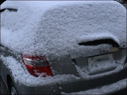 令和2年2月18日 朝散歩_b0300759_09362603.jpeg