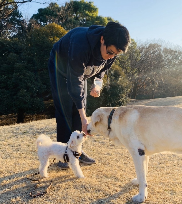 dogs 犬たちも日常に戻って♪_a0165160_22111566.jpg