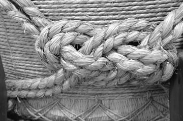 魚崎郷 浜福鶴_b0160363_23445316.jpg