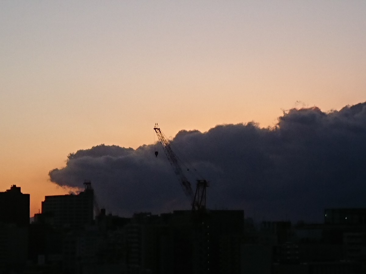 おはようモーニング_c0100865_06141961.jpg