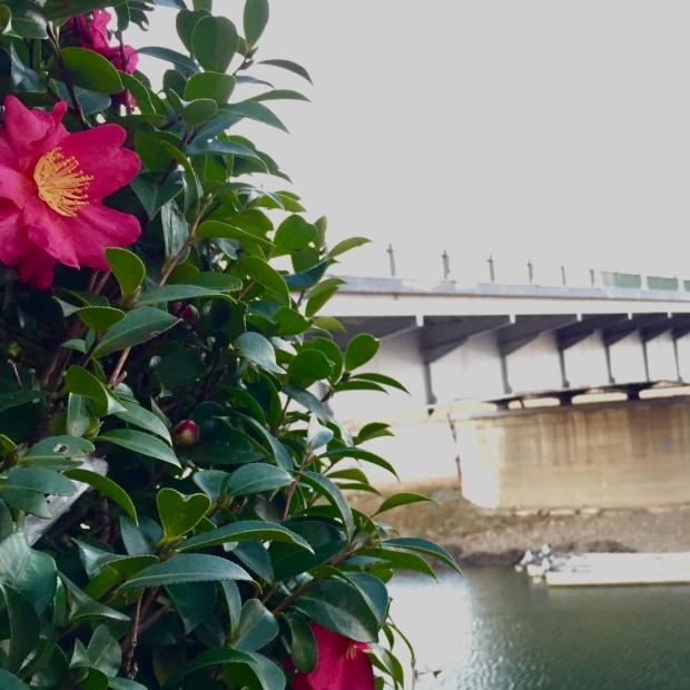 誌面の力_a0388976_17344224.jpeg
