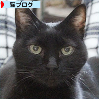 我が家の推しメン_a0389088_18100464.jpg