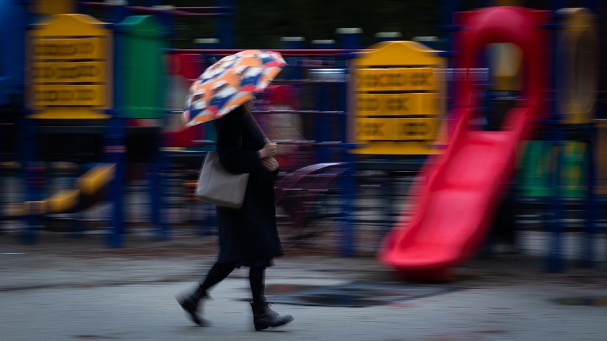 雨に負けない色たち_d0353489_23191507.jpg