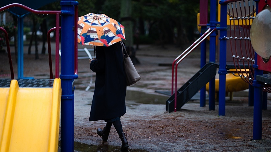 雨に負けない色たち_d0353489_23194106.jpg