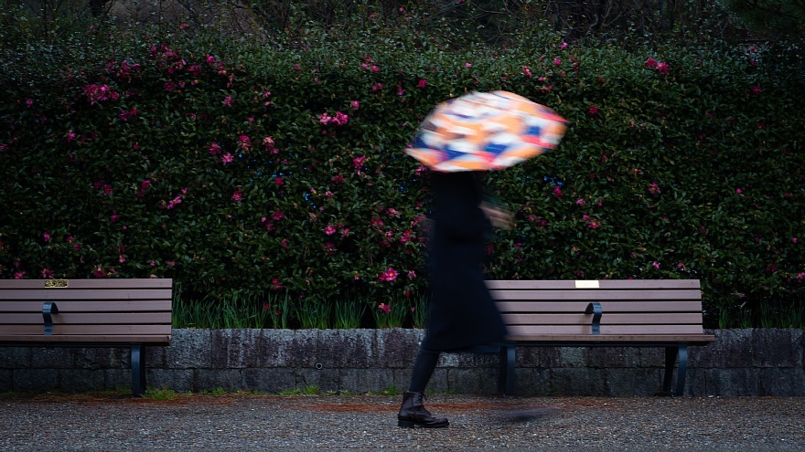 雨に負けない色たち_d0353489_23202546.jpg