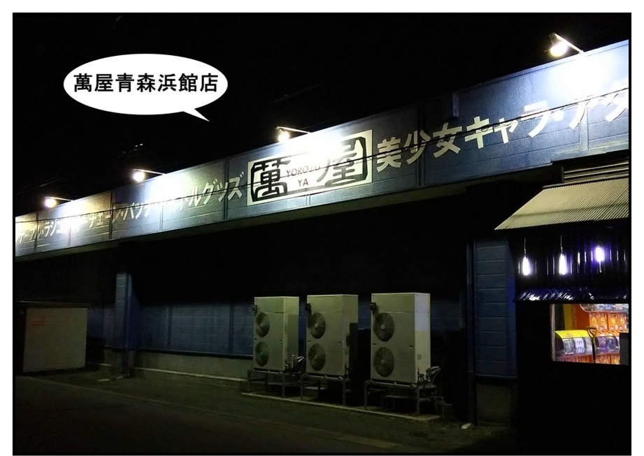 【ただの雑記】車載動画の収録(2020年初の三沢&八戸旅…編)_f0205396_16065389.jpg