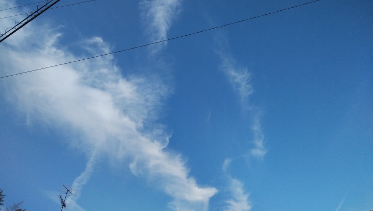 高気圧に覆われて上層雲、が見えた・・・2020/2/19_f0231709_13371836.jpg