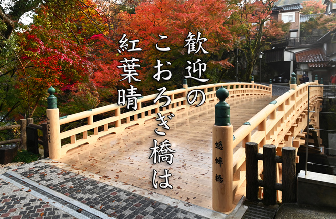 発表!第9回山中温泉フォト575最優秀作品&優秀作品_a0238217_17242404.jpg