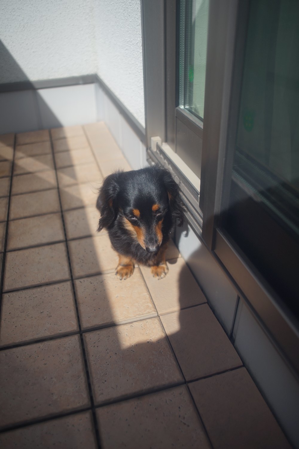 タムロン 28mm F2.5 で カメラを撮る_b0069128_13373453.jpg