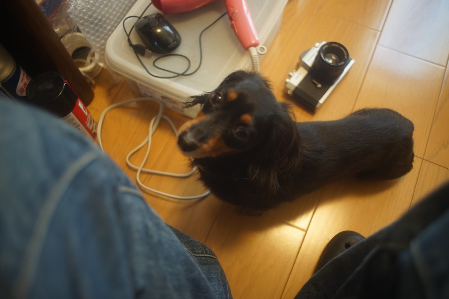 タムロン 28mm F2.5 で カメラを撮る_b0069128_13381398.jpg