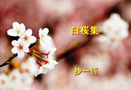 与謝野晶子第二十四歌集【白桜集】抄ー17 : Merrydiary