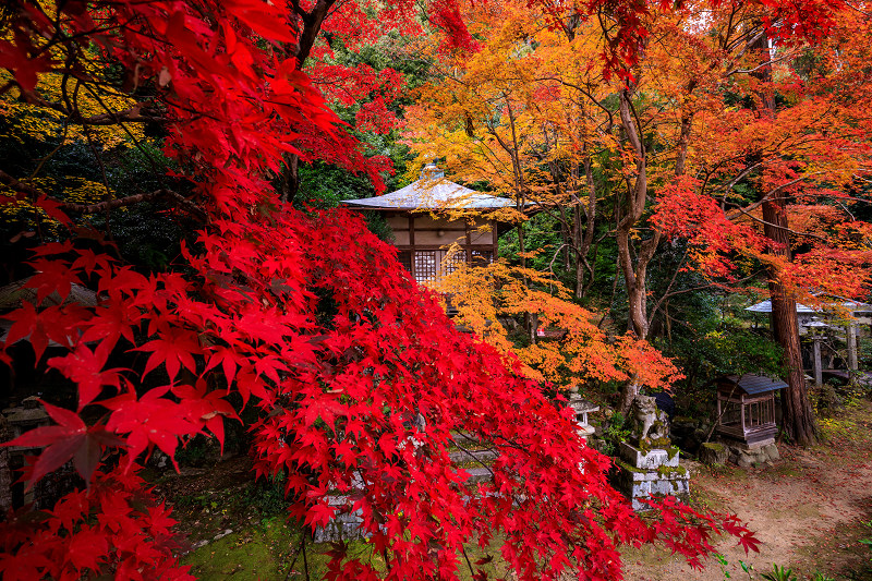 紅葉が彩る京都19 艶秋 護法堂弁財天 花景色 K W C Photoblog 紅葉が彩る京都19 艶秋 護法堂弁財天 花景色 K W C Photoblog