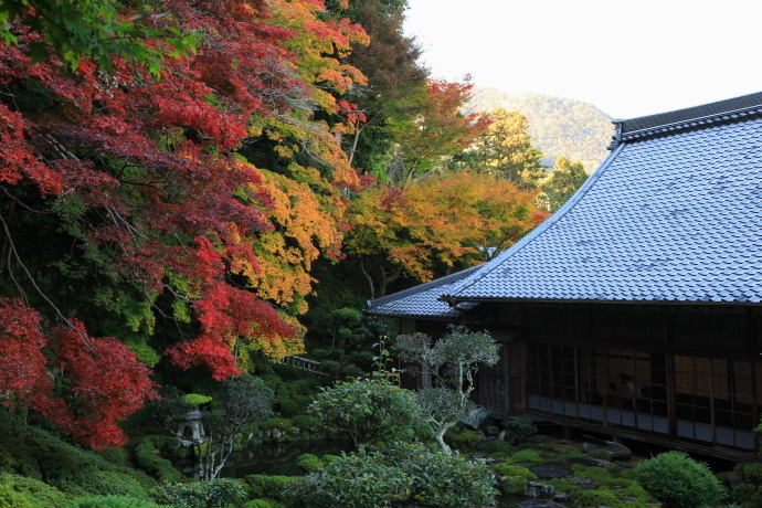 當麻寺 紅葉 2019_a0176855_22020324.jpg