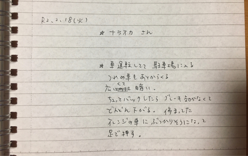 2月16日〜19日の夢　「おにぎり」「犬」「会社」「ナラオカさん」「L」他_e0413657_19411248.jpg