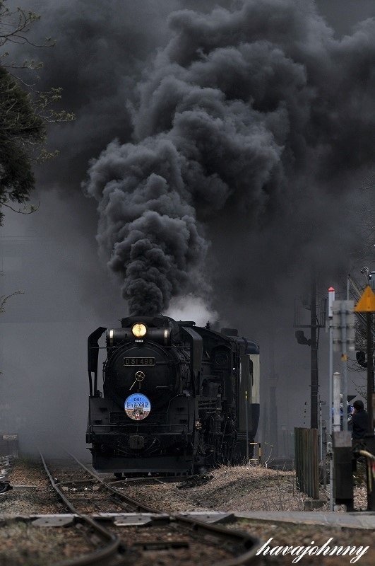 D51の出張～磐越西線爆煙に歓迎される～_c0173762_19150456.jpg
